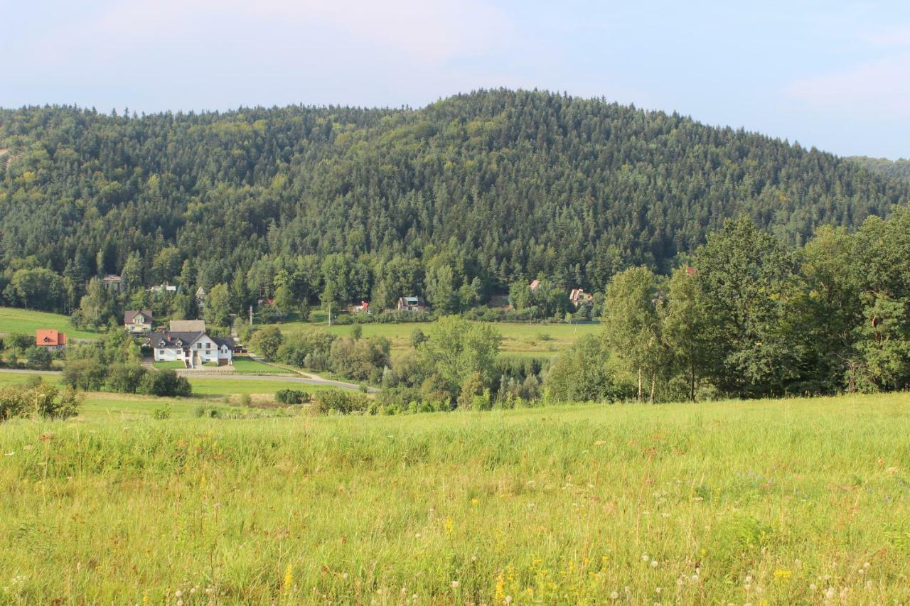 Dwor Bysina Villa Myslenice Exterior photo